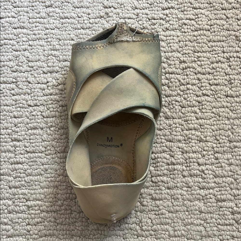Women's Smelly Tan Dance Shoe